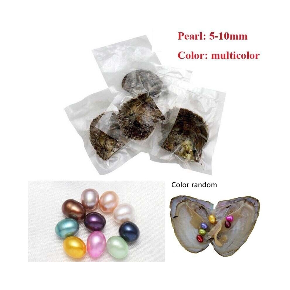 Natural Oyster Pearl 6PCs/Lot Monster Oysters with Pearls Inside Bulk