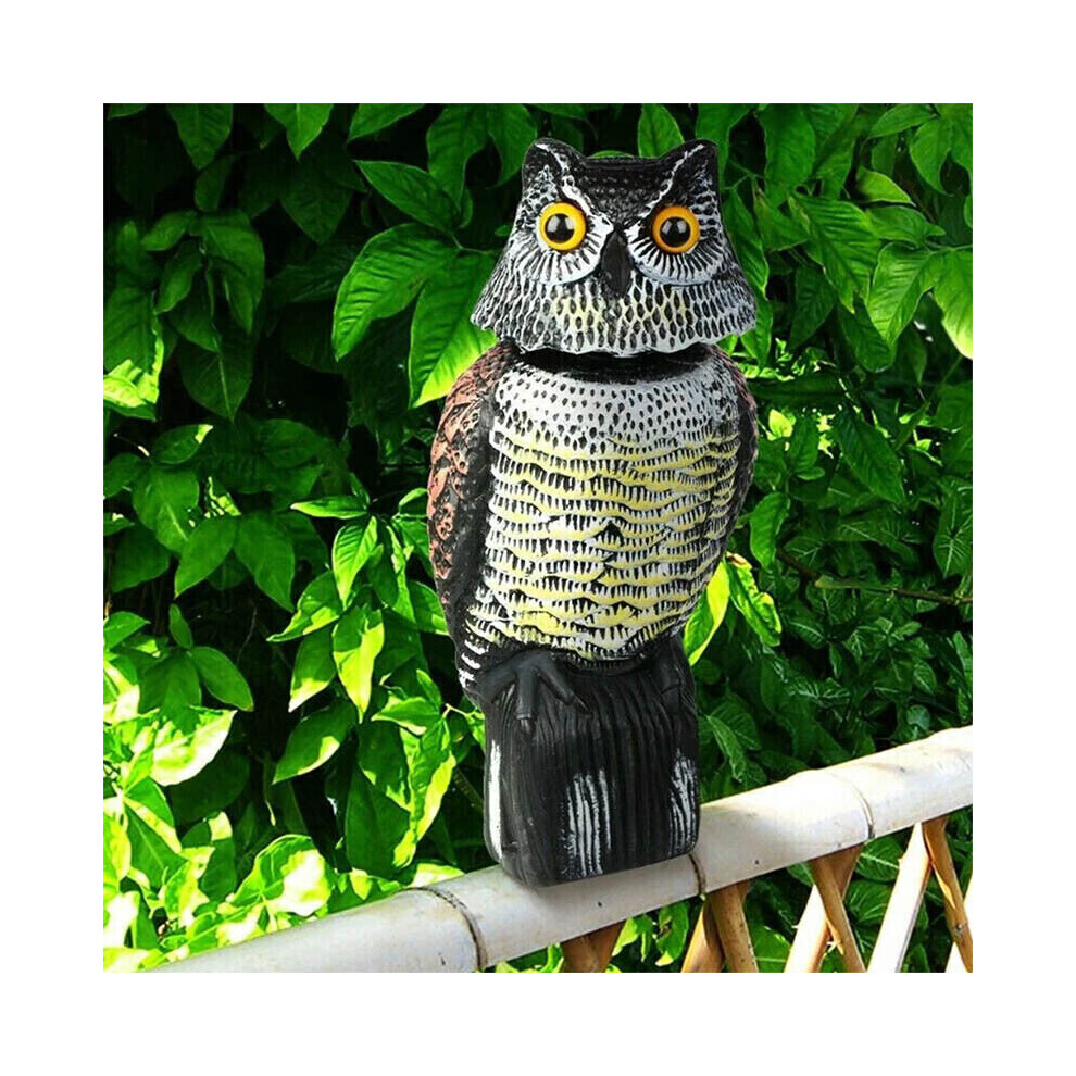 Realistische Eule Lockvogel Abschreckung Kopf Vogel Taube KräHe Scarer No Beweglichen Kopf-image