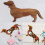 15,7 polegadas Dachshund Dog Jantar Prato Queijo Tábua Corte Charcutaria Bonito Natal 3