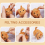 Animals Needle Felting Set, DIY Wool Felt Materials Set with Tool Instruction for Craft Project 5