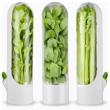 Lot de 3 boîtes de conservation pour herbes aromatiques, idéales pour conserver la fraîcheur des herbes aromatiques (coriandre, persil, asperges)