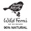 Wild Ferns Manuka Honey Βutter Σώματος, 99% Φυσικό, 175 γραμμάρια 4
