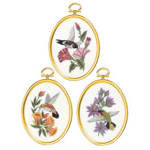 Janlynn 004-0864 Stickset    Kolibri   , mehrfarbig
