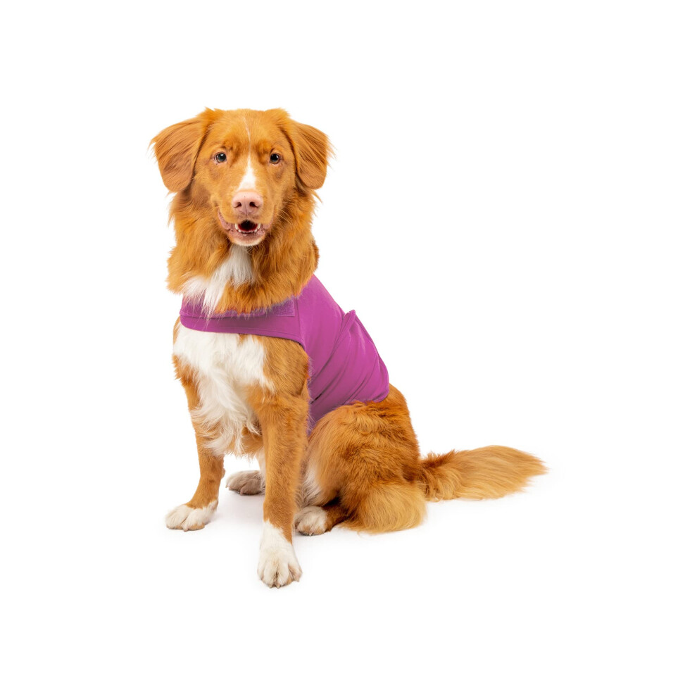 Chemise Mellow pour chien, enveloppement apaisant contre l'anxi   t   , petite orchid   e radieuse