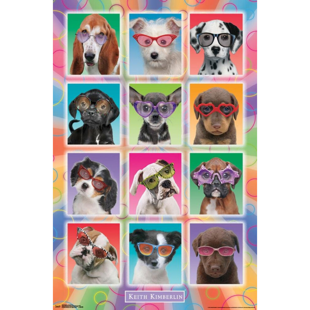 Trends International Keith Kimberlin Welpen Sonnenbrillen-Wandposter, 57,9 X 86,4 Cm, Ungerahmte Version-image