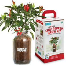 Back to the Roots Non-GMO Chili Planter Grow Organic Chili Peppers Year Round Windowsill Grow Kit Top Gardening Gift Holiday Gift & Unique Gift