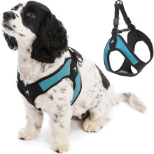 Gooby Turquoise X-Small Easy Fit Szelki - opatentowana konstrukcja bez ciagniecia dla malych psσw z klamra z mechanizmem szybkiego uwalniania