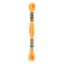 DMC 6-strengs broderi bomuld 8,7 yd - Medium Light Autumn Gold