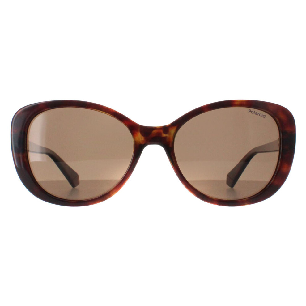 Polaroid Sunglasses Pld 4154/S/X 086 Sp Havana Polarized Bronze