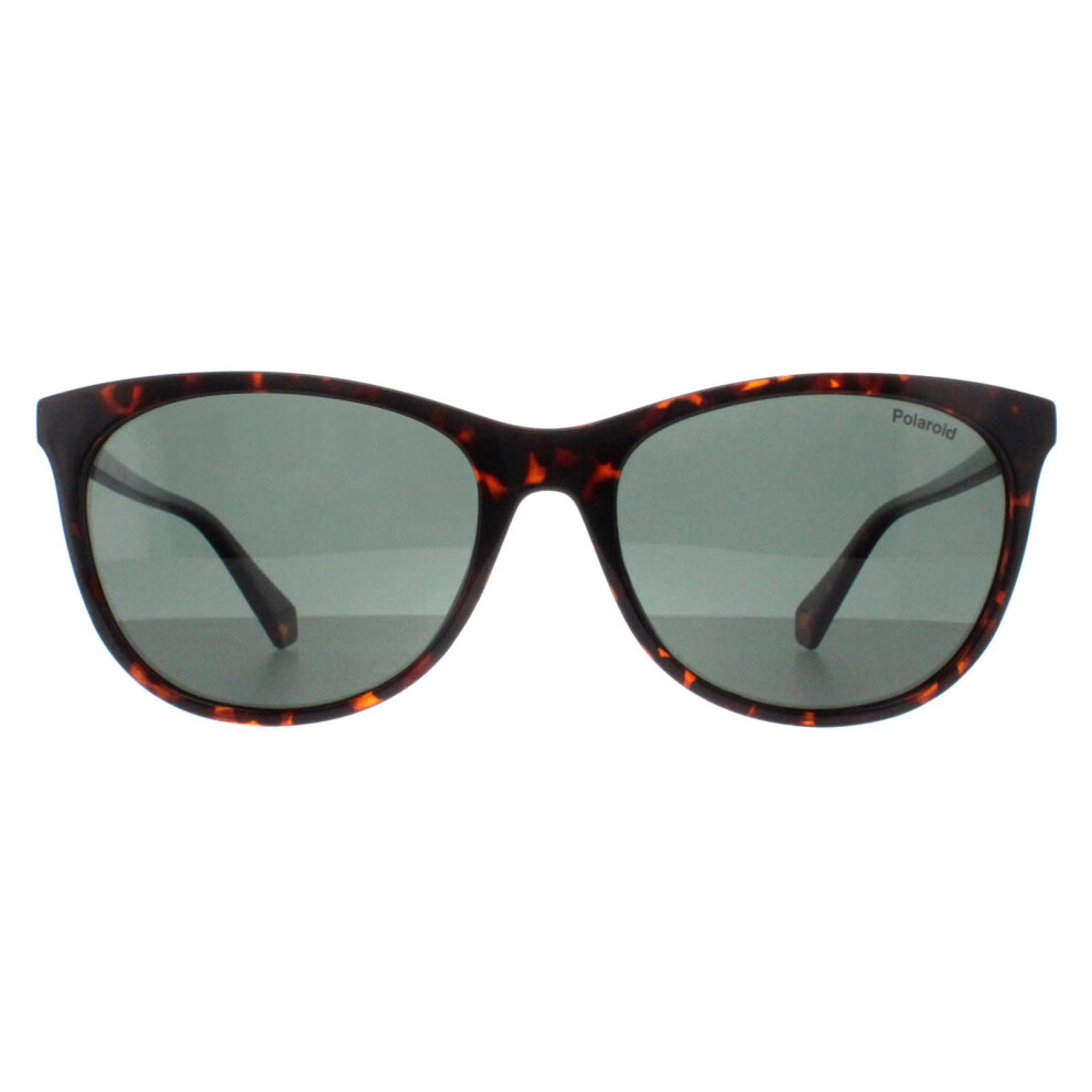 Polaroid Sunglasses Pld 4161/S 086 Uc Havana Polarized Green