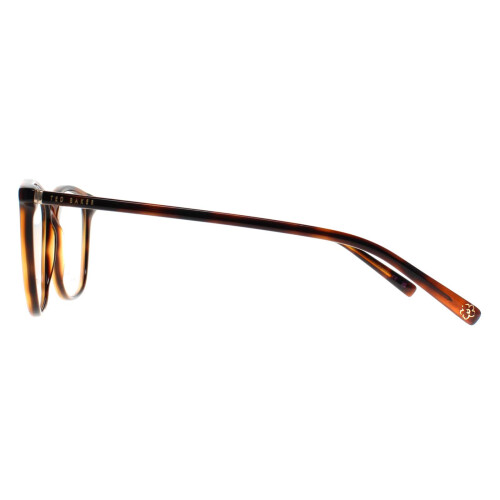 Ted Baker Ted Baker Glasses Frames TB9237 Karina 123 Honey Tortoise Women 2