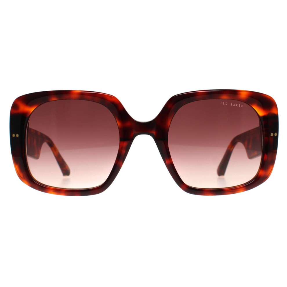 Ted Baker Sunglasses Tb1730 Catrina 100 Tortoise Gradient Brown