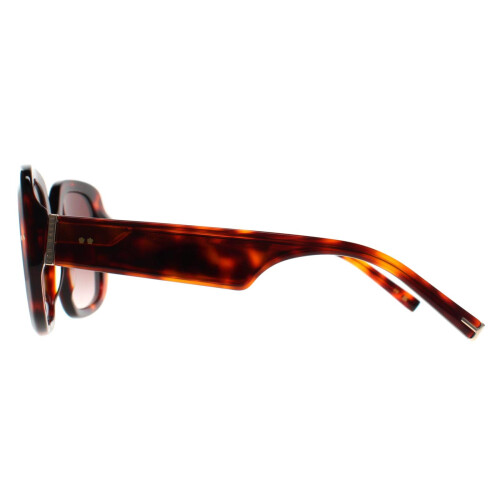 Ted Baker Ted Baker Sunglasses TB1730 Catrina 100 Tortoise Brown Gradient 2