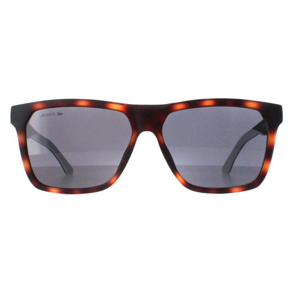 Lacoste Sunglasses L972s 230 Matte Havana Grey