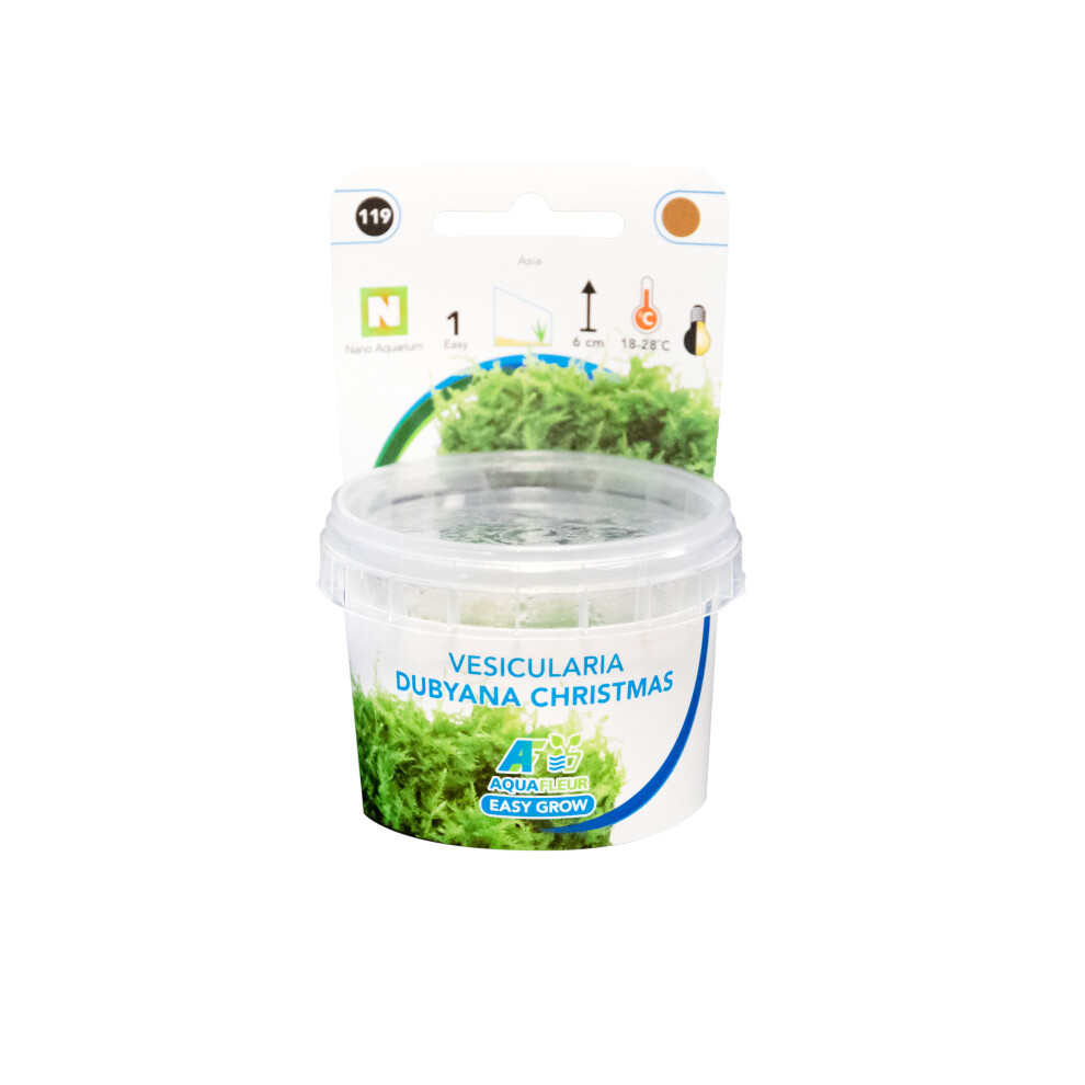 Aquafleur (Vesicularia Dubyana Christmas (New)) Easy Grow Foreground Plants Aquarium Live Plants Collection