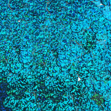 10mm Sequins Round Aqua Blue Hologram Glitter Sparkle Metallic Medium Top Hole Made in USA