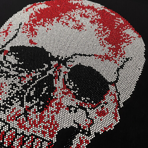 Design de Strass com Cabeça de Caveira Vermelha Aplicável 2