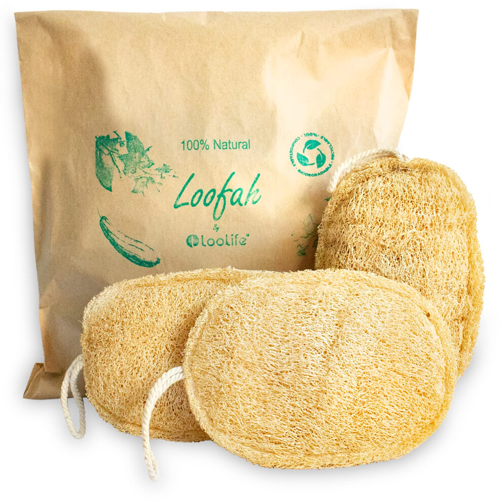 Loolife Natural Loofah Exfoliating Sponge (3 Pack) - Loofa Body Scrubber - Loofah Sponge - Loofah Exfoliating Body Scrubber - Organic Loofah - Showe