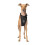 Canada pooch sort alt mesh hund sele x-large 1