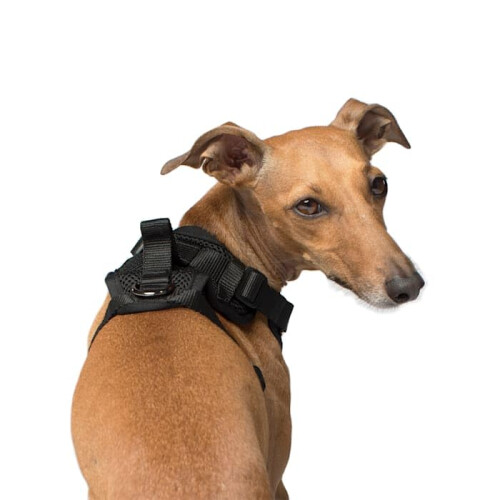 Canada pooch sort alt mesh hund sele x-large 2