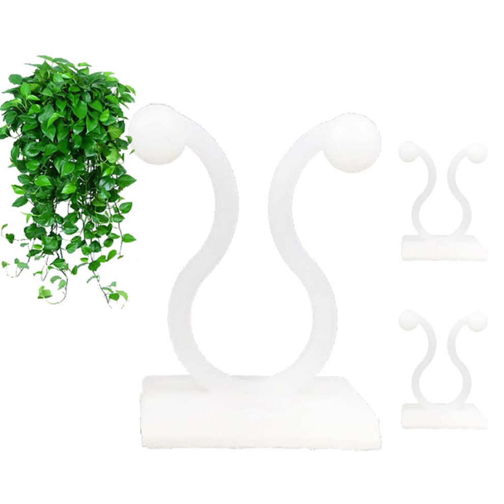 MDSOYOL Plant Climbing Wall Fixture Clips  (100pcs) Plant Fixer Self-A-image-OPC-PFPFQWY-NEW