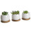 OYSIR 6pcs 3 polegadas Prato Redondo de Bambu, Mini Bandeja para Vaso de Cacto e Flores 4
