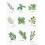 Lucas ??t sta???   e?????? Luca-S Counted ?pa?a???? ?a? ??ta?a I 21.5x30.5e?. 1