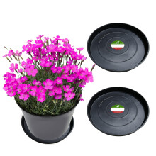 Little Bear Peak Kulat kompozitn rostlinn podlek/Tray (2-balen) | 60 % recyklovanch plastu a 40 % prku z kamene/dreva | Vysoce vkonn lapac