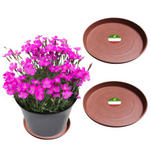 Little Bear Peak Kulat kompozitn rostlinn podlek/Tray (2-balen) | 60 % recyklovanch plastu a 40 % prku z kamene/dreva | Vysoce vkonn lapac