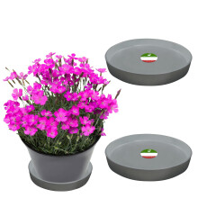 Little Bear Peak Kulat kompozitn rostlinn podlek/Tray (2-balen) | 60 % recyklovanch plastu a 40 % prku z kamene/dreva | Vysoce vkonn lapac