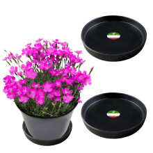 Little Bear Peak Kulat kompozitn rostlinn podlek/Tray (2-balen) | 60 % recyklovanch plastu a 40 % prku z kamene/dreva | Vysoce vkonn lapac
