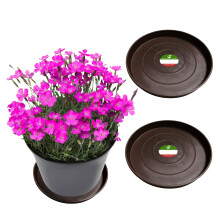 Little Bear Peak Kulat kompozitn rostlinn podlek/Tray (2-balen) | 60 % recyklovanch plastu a 40 % prku z kamene/dreva | Vysoce vkonn lapac
