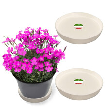 Little Bear Peak Kulat kompozitn rostlinn podlek/Tray (2-balen) | 60 % recyklovanch plastu a 40 % prku z kamene/dreva | Vysoce vkonn lapac