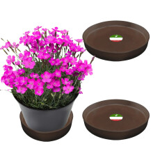 Little Bear Peak Kulat kompozitn rostlinn podlek/Tray (2-balen) | 60 % recyklovanch plastu a 40 % prku z kamene/dreva | Vysoce vkonn lapac