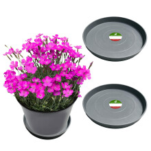 Little Bear Peak Kulat kompozitn rostlinn podlek/Tray (2-balen) | 60 % recyklovanch plastu a 40 % prku z kamene/dreva | Vysoce vkonn lapac