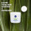 NIVEA NIVEA Aloe and Hydration Body Cream 13,52 oz (1) 3