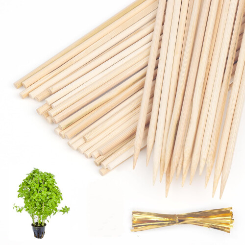 Bloemsteunpalen | Verstelbare 6/12 Pack Single Plant Stem Flower