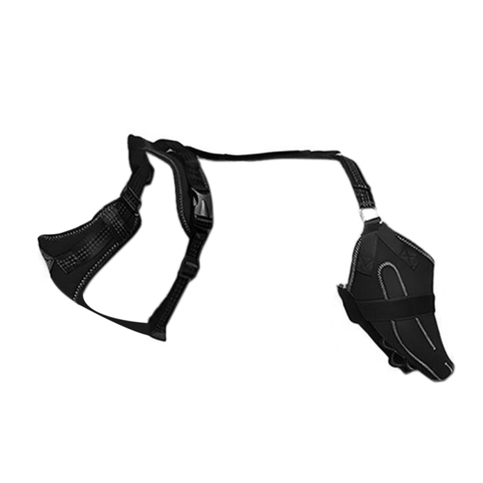 Collier pour chien, genouillère pour patte arrière pour chien asiatique souffrant d'arthrite M