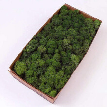 Prefleur konserveret rensdyr mos naturlig gr?n DIY kit Gardenning Art Wall Decor Florist Decor East Leter Bord Decor Wedding Decor (0,85 lb) (Gre