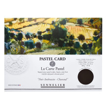 Sennelier La Carte Pastel Kaart Pochette 15,75"""""" x 11"""""" Monochroom