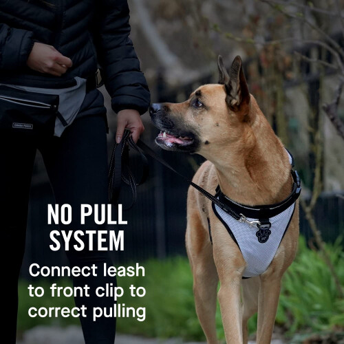 Canada pooch Everything No Pull Dog Harness - Easy Walk Harnes 1