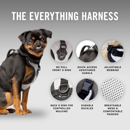 Canada pooch Everything No Pull Dog Harness - Easy Walk Harnes 2