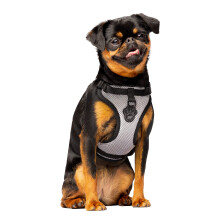Canada pooch Everything No Pull Dog Harness - Easy Walk Harness for Dogs With Breathable Mesh Exterior Justerable Dog Walking Harness Fantastisk