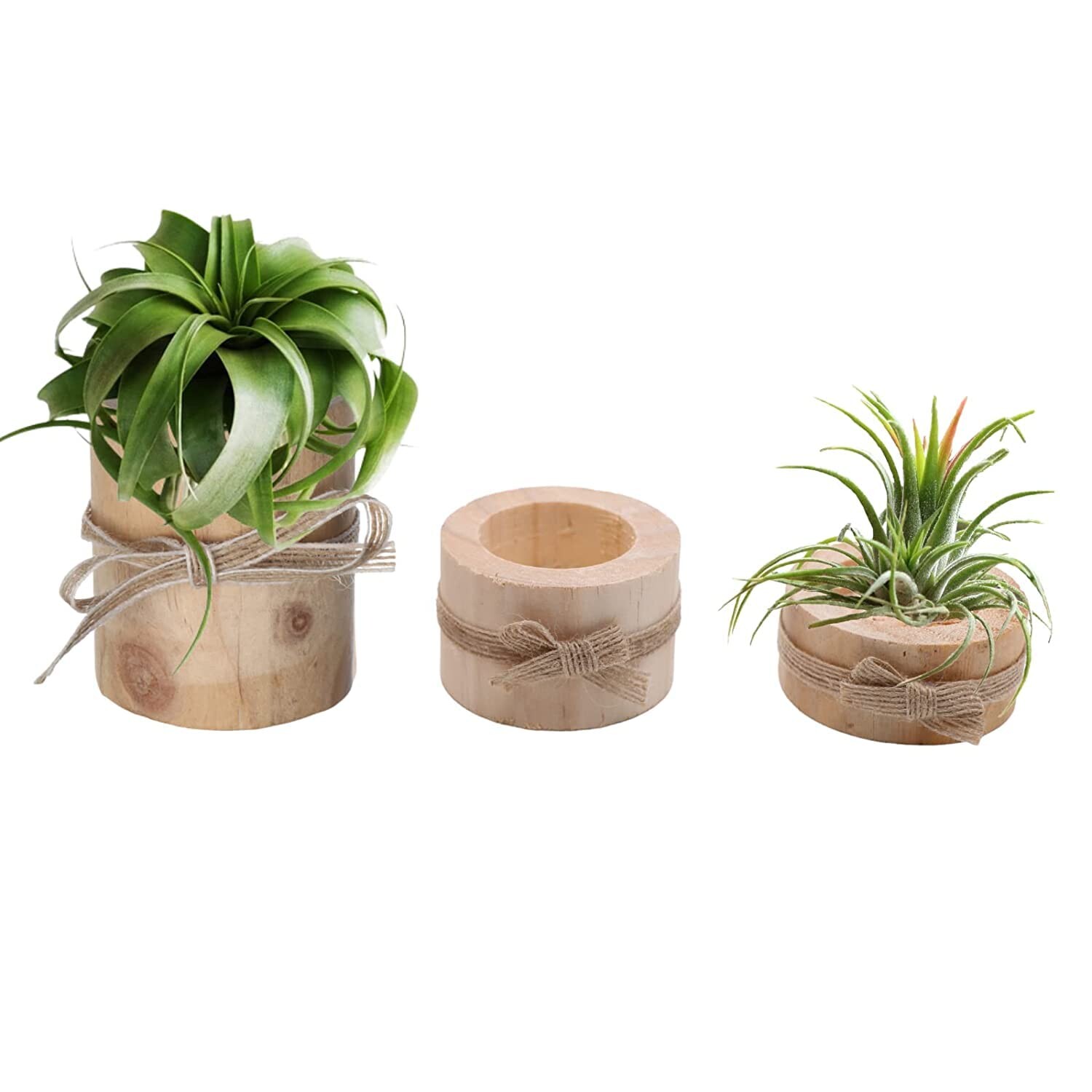 10 supports en bois pour fleurs séchées 21 x 4 x 5 cm - La Poste