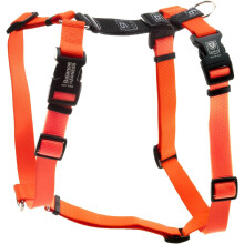 Blue-9 Buckle-Neck Balance Harness fuldt tilpasset pasform uden træksele Ideel til hundetræning og lydighed lavet i USA Orange Medium
