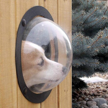 (As show, One size) Fence Window For Pets, Durable Acrylic Dome Pet Dog Fence Peek Window For Cats Dogs31.5 * 31.5 * 12.5cm