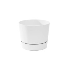 Root & nave maiestuos maiestuos de la mijlocul secolului modern cu profil scazut pot alb alb 8,5 """"