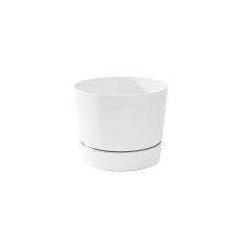 Root & nave maiestuos maiestuos de la mijlocul secolului modern cu profil scazut pot alb alb 6.5 """"