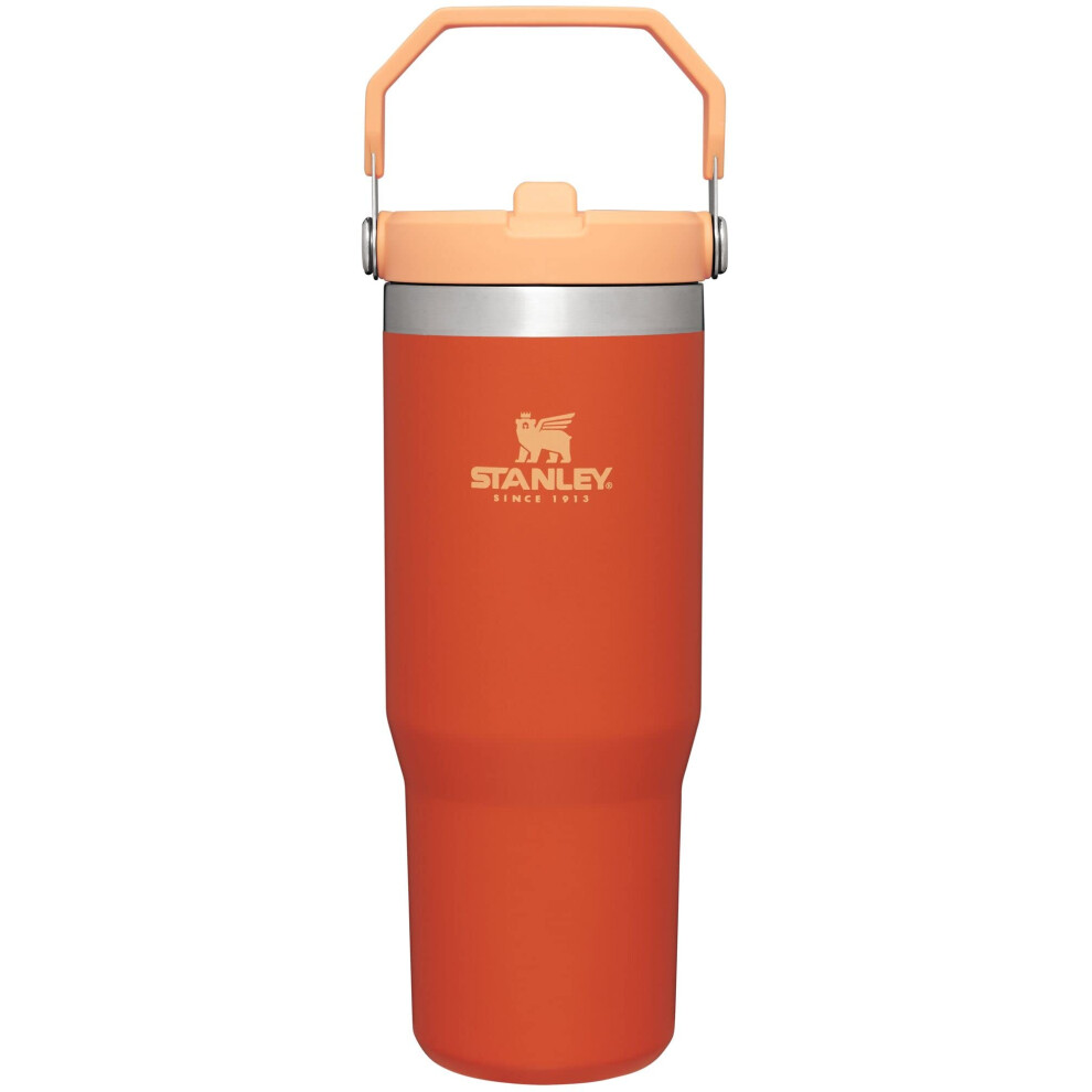 Stanley IceFlow Stainless Steel Tumbler with Straw  Vacuum Insulated Water Bottle for Home  Office or Car Reusable Cup with Str