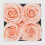 Graceful Fleurs | Αληθινές Ροζ για Χρόνια | Διατηρημένα Φρέσκα Λουλούδια για Γενέθλια 2